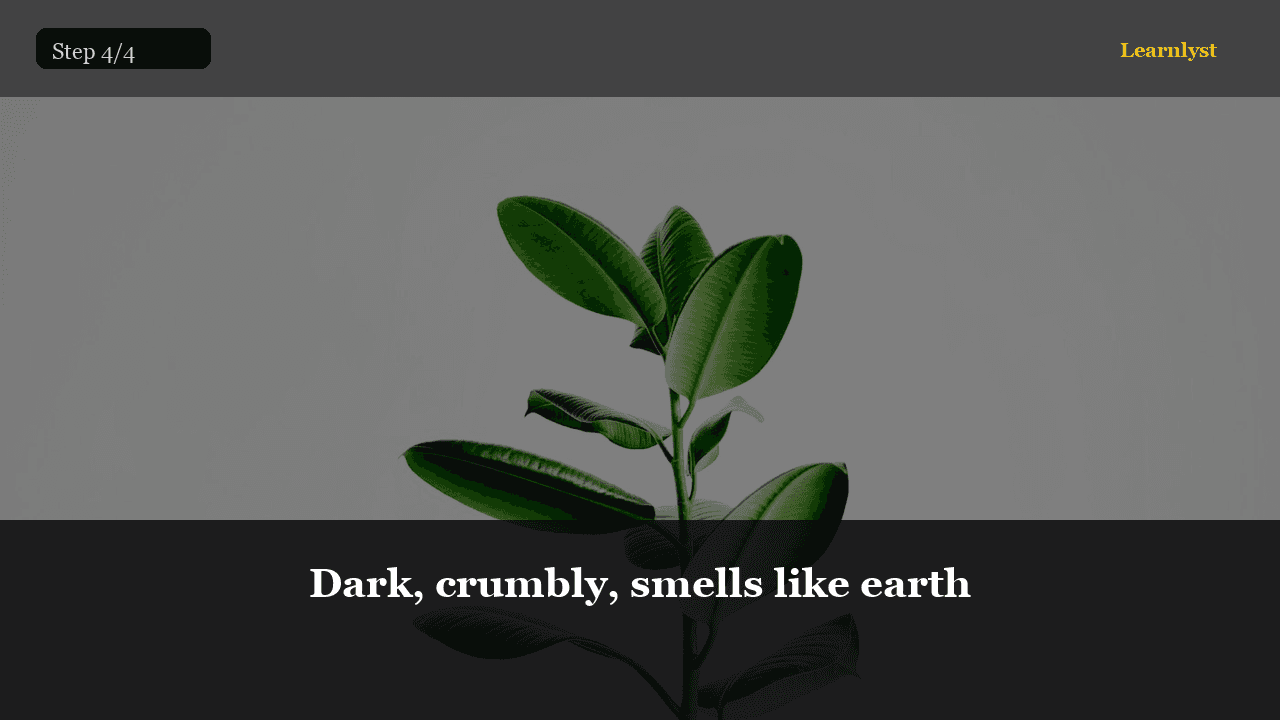 Dark, crumbly, smells like earth โ Gardening tip photo