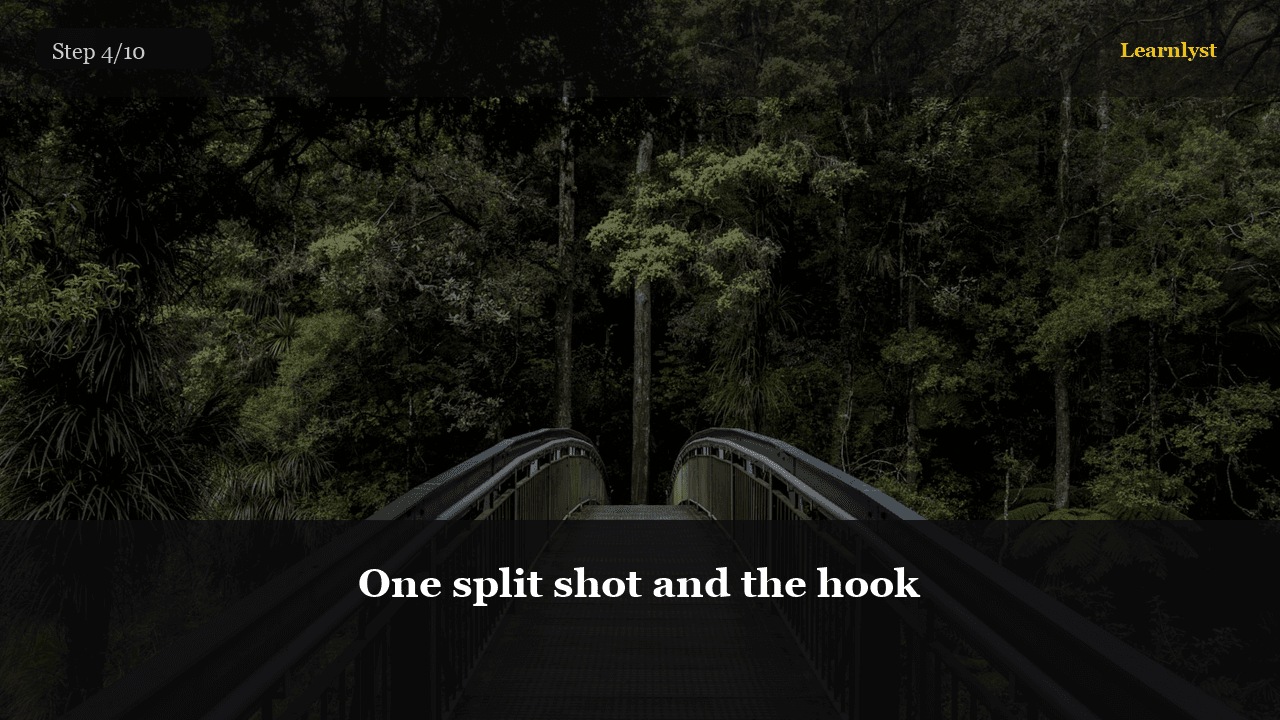 One split shot and the hook — Fishing tip photo