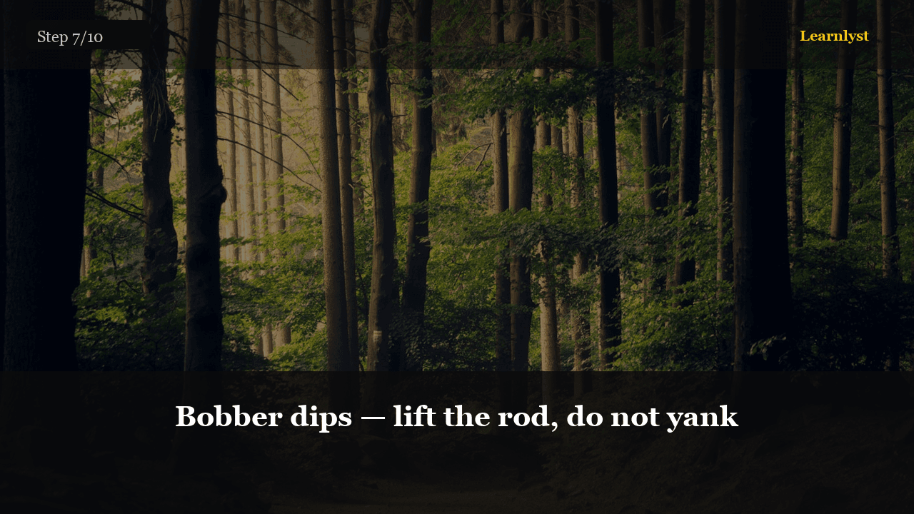 Bobber dips — lift the rod, do not yank — Fishing tip photo