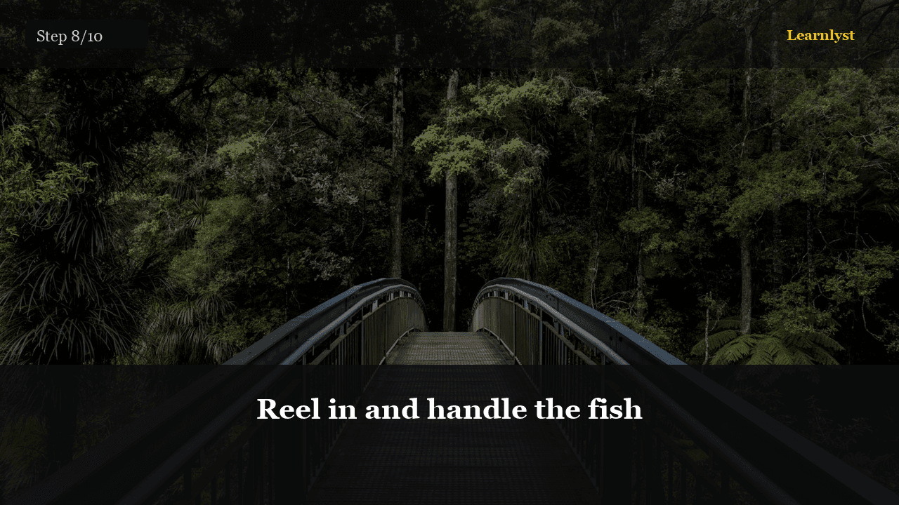 Reel in and handle the fish — Fishing tip photo
