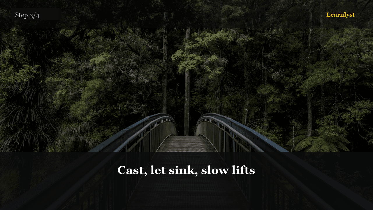 Cast, let sink, slow lifts — Fishing tip photo