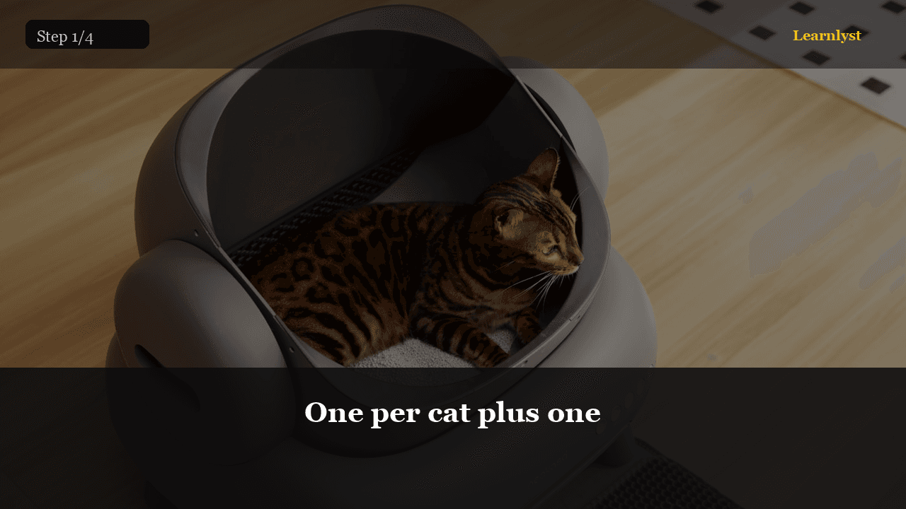 Cat Litter & Scratching