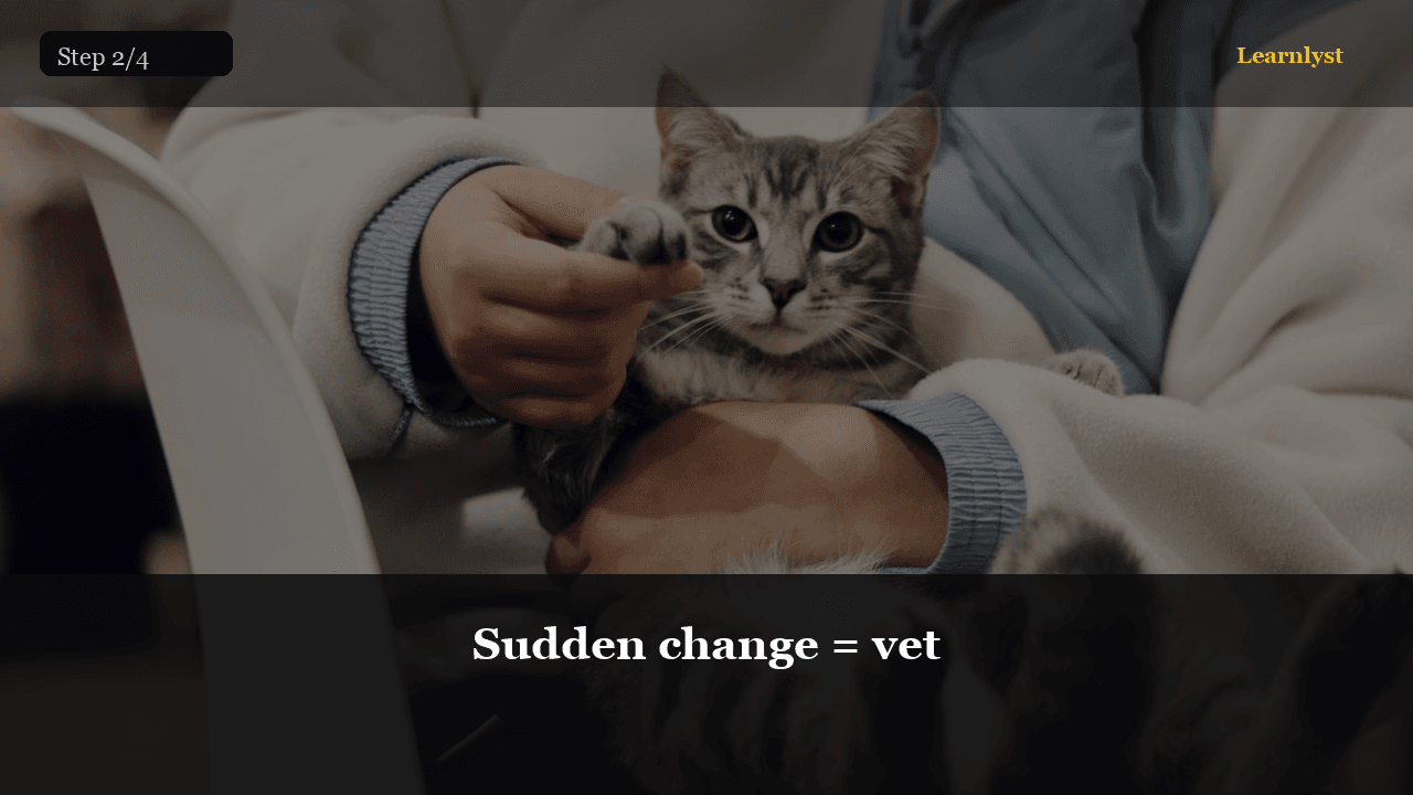 Sudden change = vet — Pets tip photo
