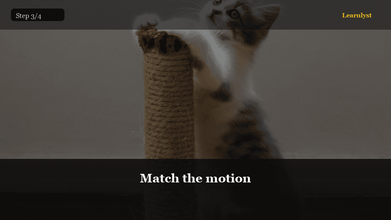 Cat Litter & Scratching preview 3