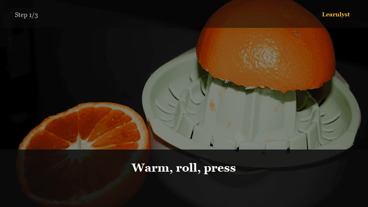 Citrus Juice Bar at Home