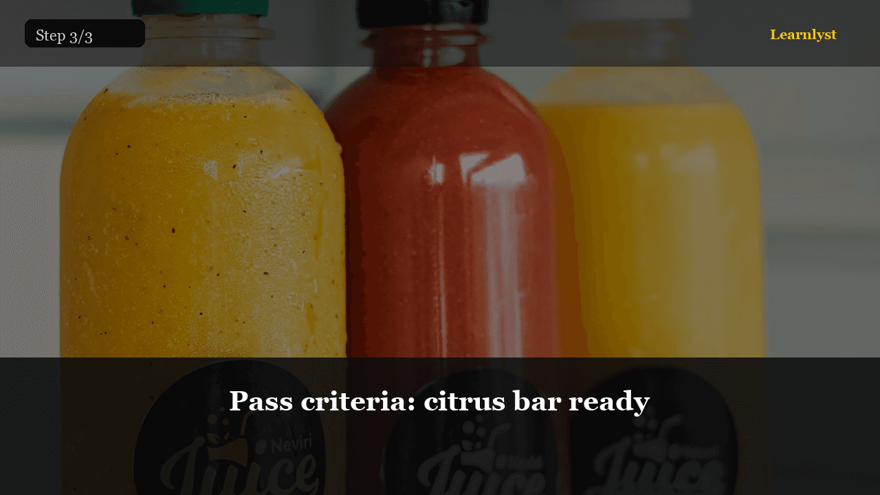 Citrus Juice Bar at Home preview 3