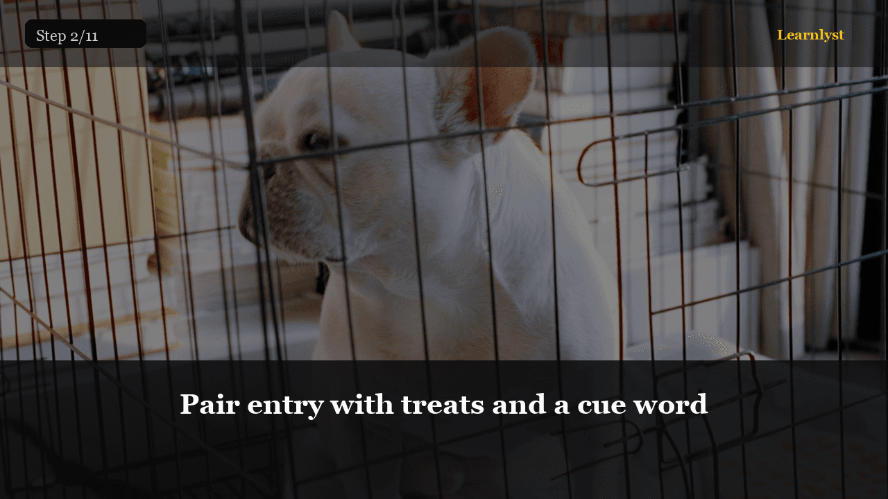 Pair entry with treats and a cue word — Pets tip photo