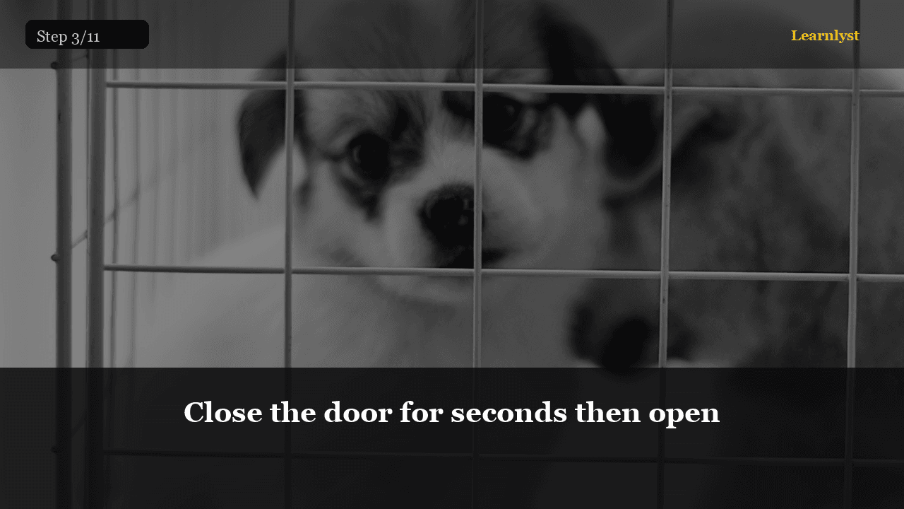 Close the door for seconds then open — Pets tip photo