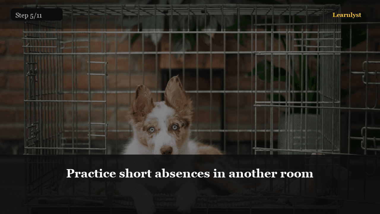 Practice short absences in another room — Pets tip photo