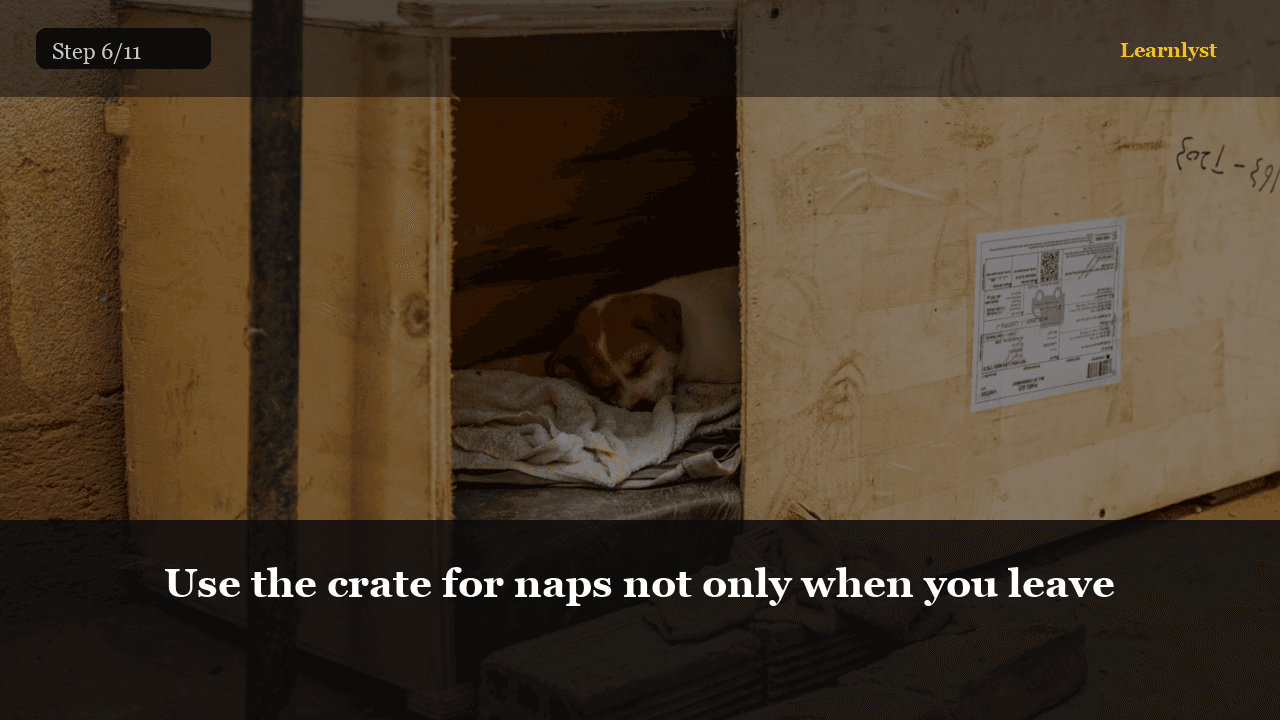 Use the crate for naps not only when you leave — Pets tip photo