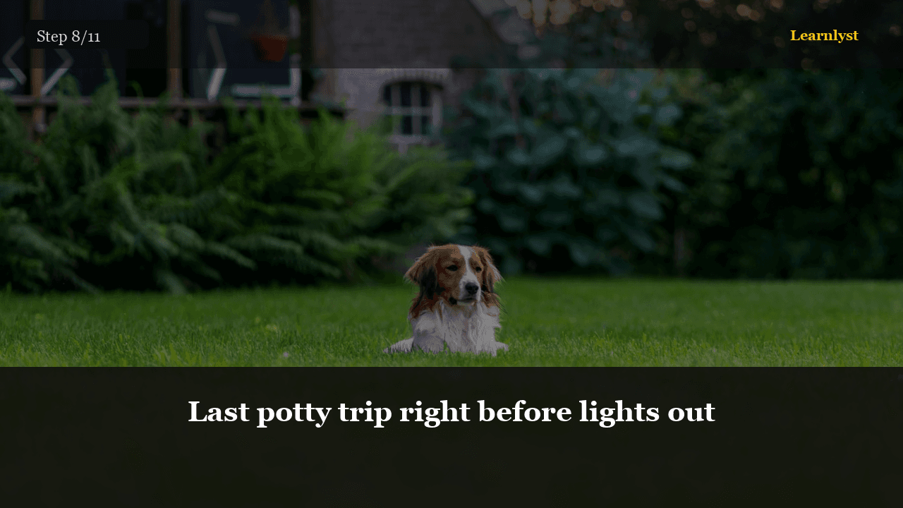 Last potty trip right before lights out — Pets tip photo