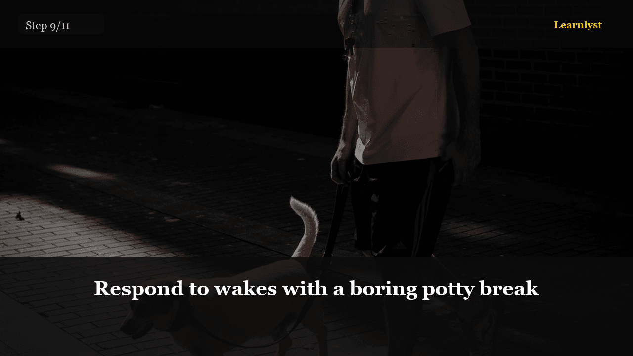 Respond to wakes with a boring potty break — Pets tip photo