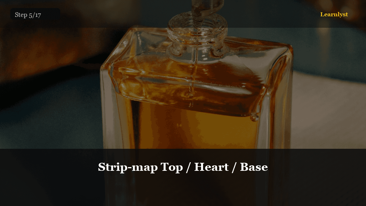 Strip-map Top / Heart / Base