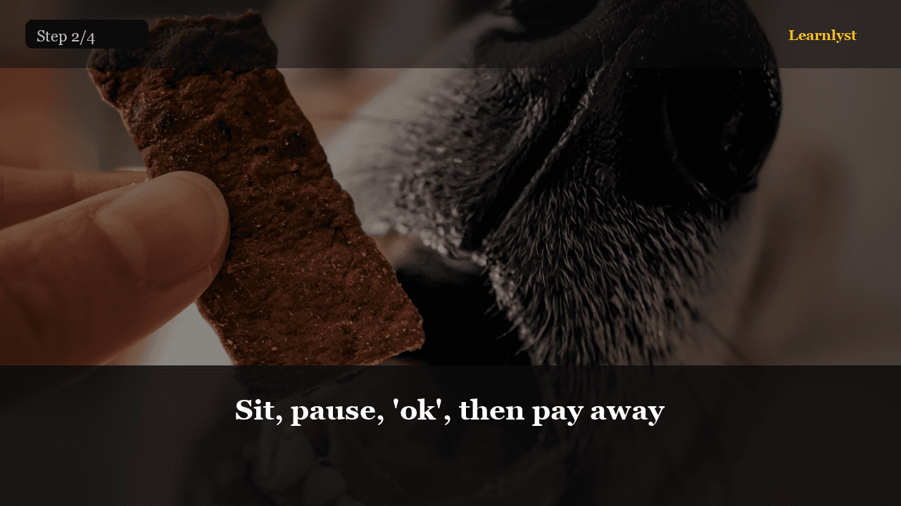 Sit, pause, 'ok', then pay away — Pets tip photo