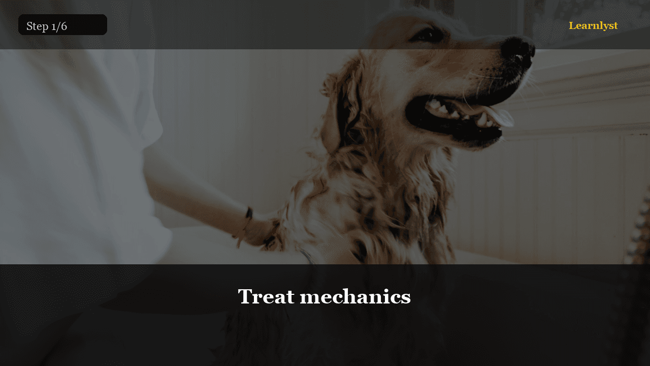 Train Your Dog: Sit, Stay, Come in One Week