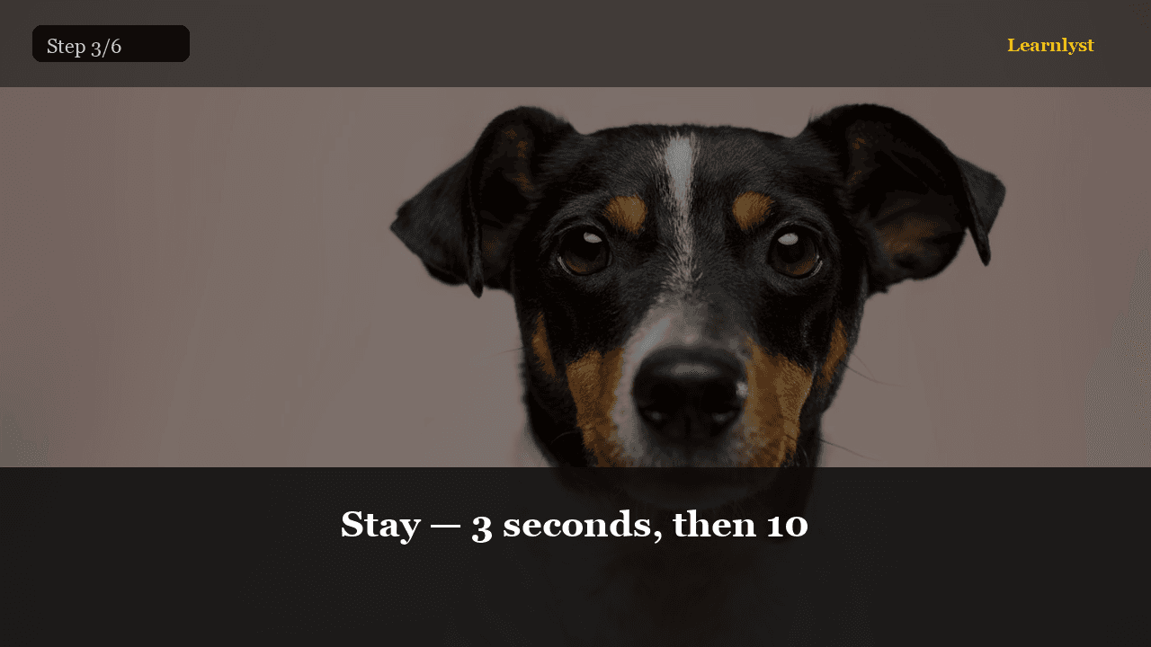 Treat in place rewards staying, not the release.