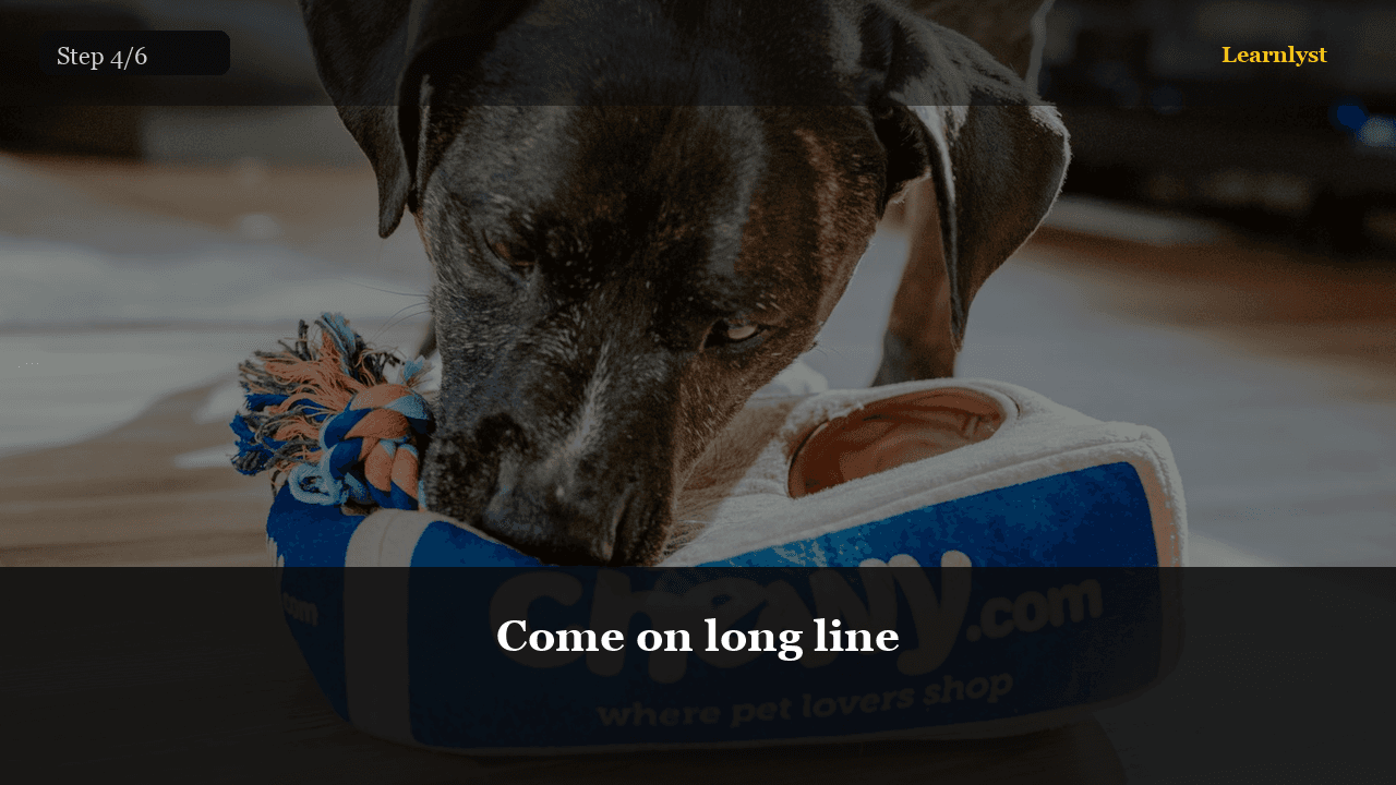 Come on long line — Pets tip photo