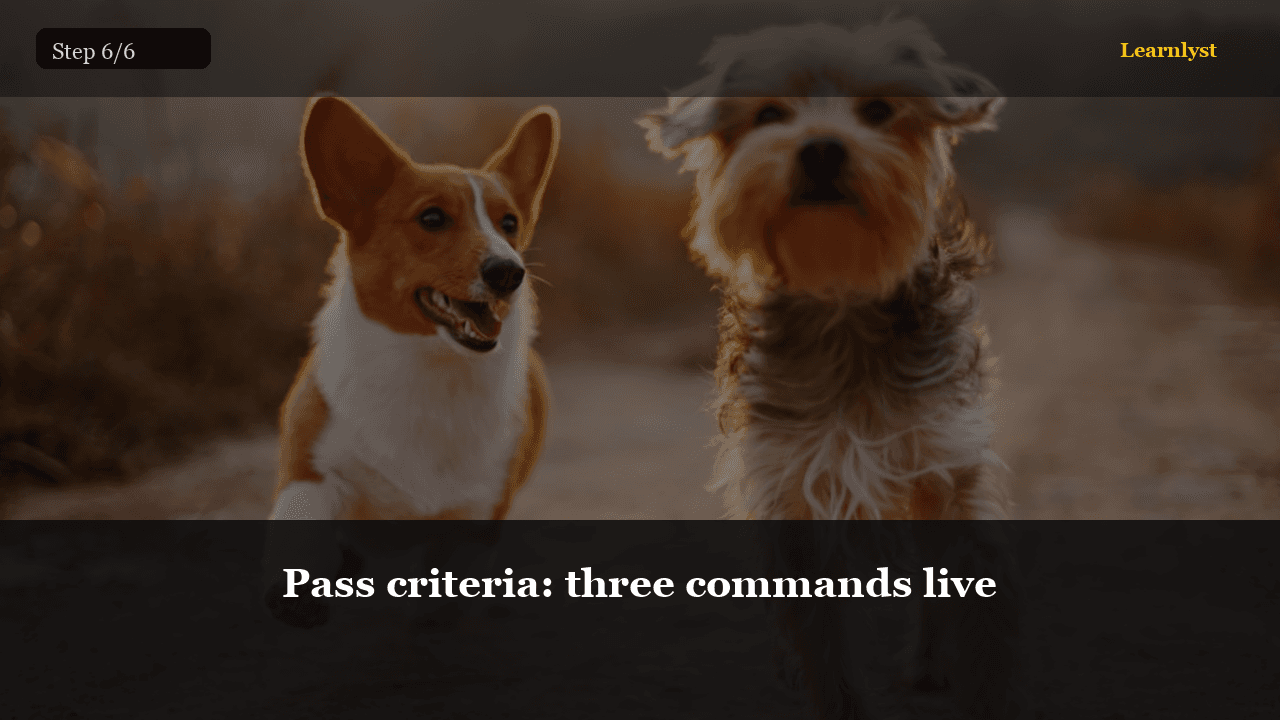 Pass criteria: three commands live — Pets tip photo