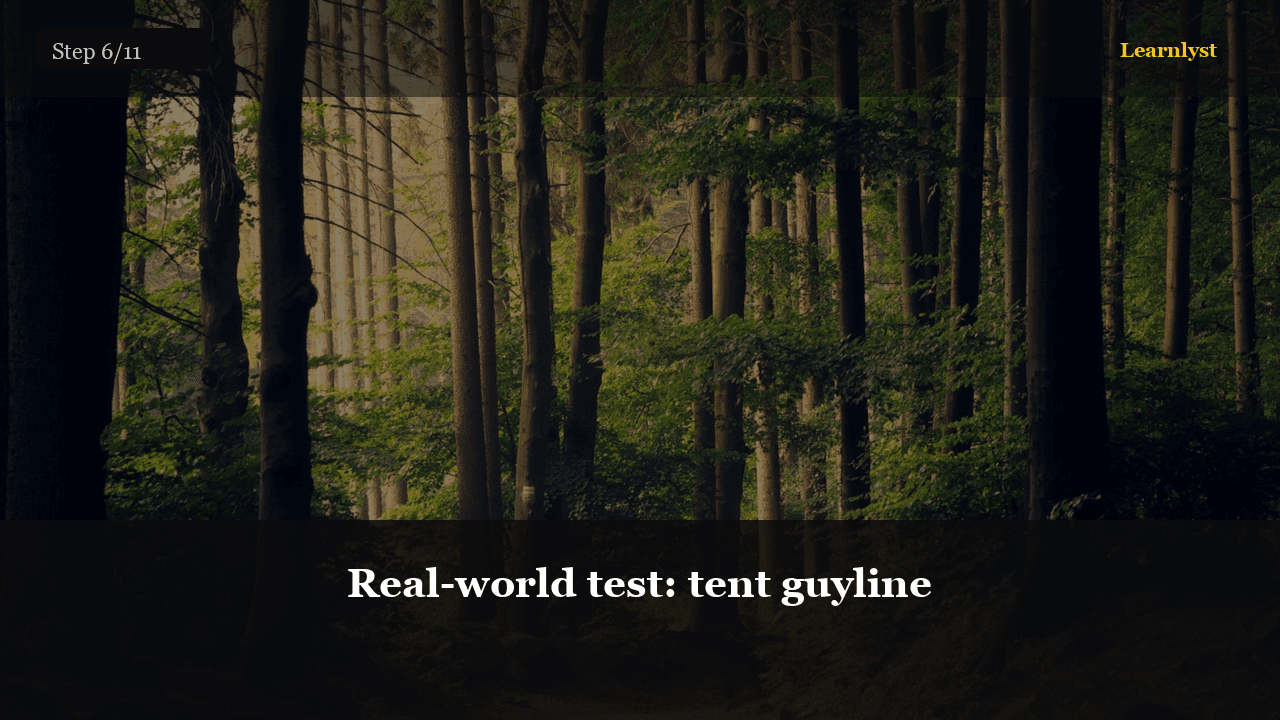 Real-world test: tent guyline