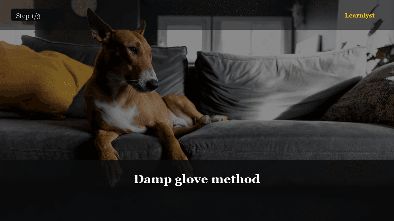 Get Pet Hair Off Furniture Fast