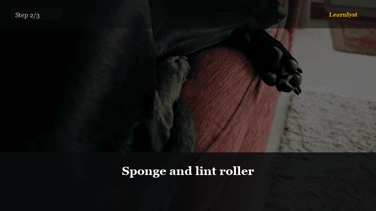 Sponge and lint roller — Pets tip photo