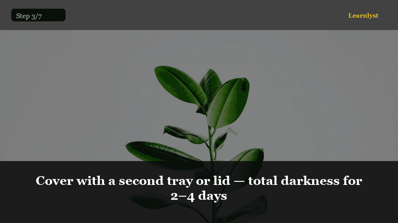 Cover with a second tray or lid — total darkness for 2–4 days — Gardening tip photo