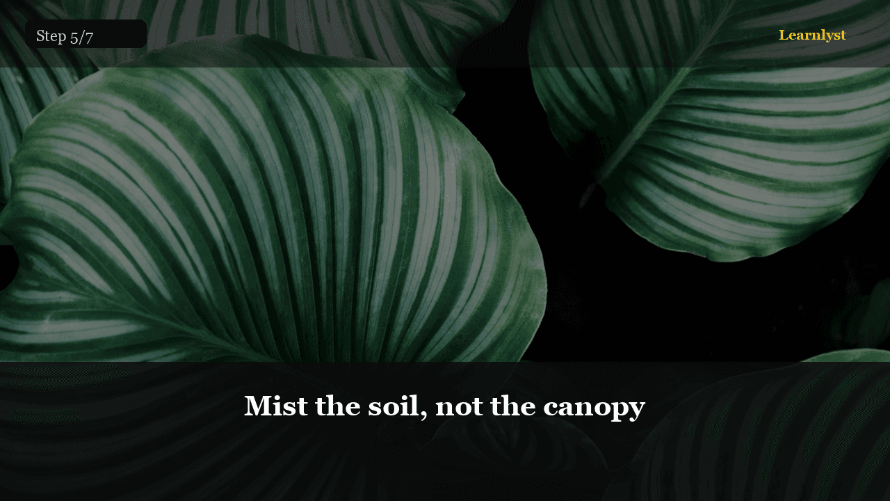 Mist the soil, not the canopy — Gardening tip photo