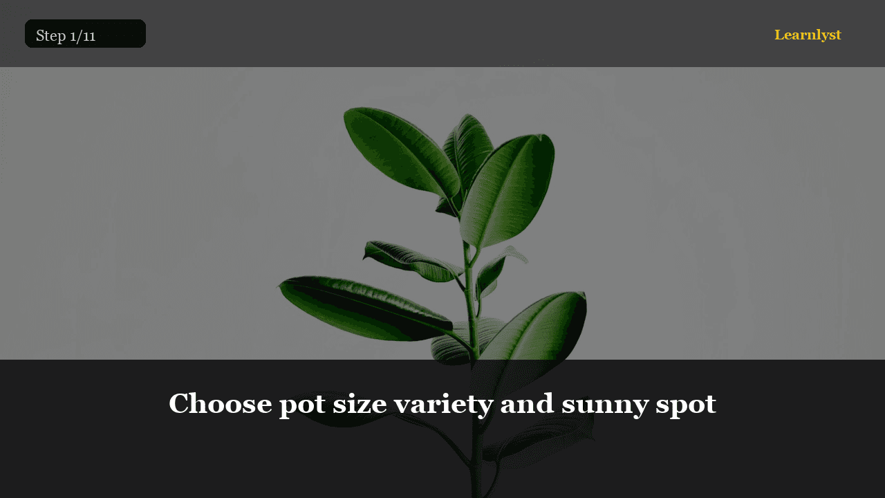Choose pot size variety and sunny spot — Gardening tip photo