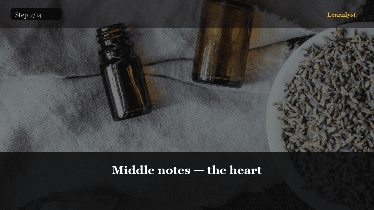 Middle notes — the heart