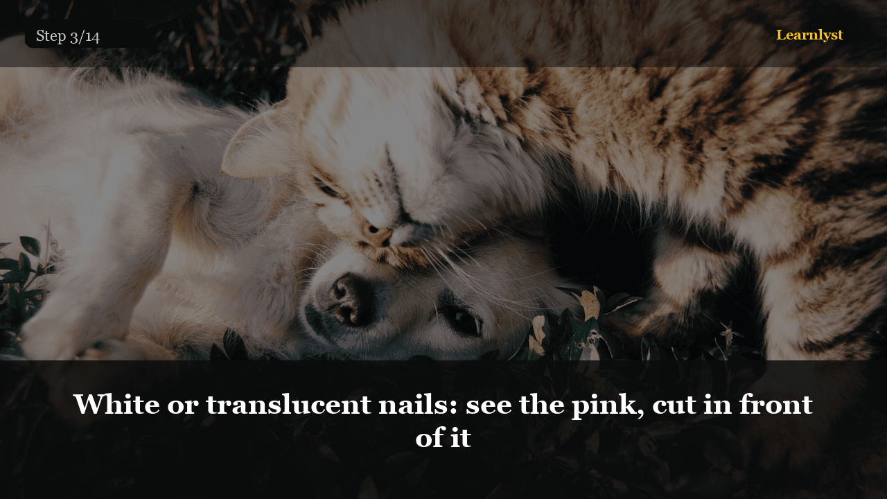 Pink stays inside the nail. You cut keratin, not the cone.