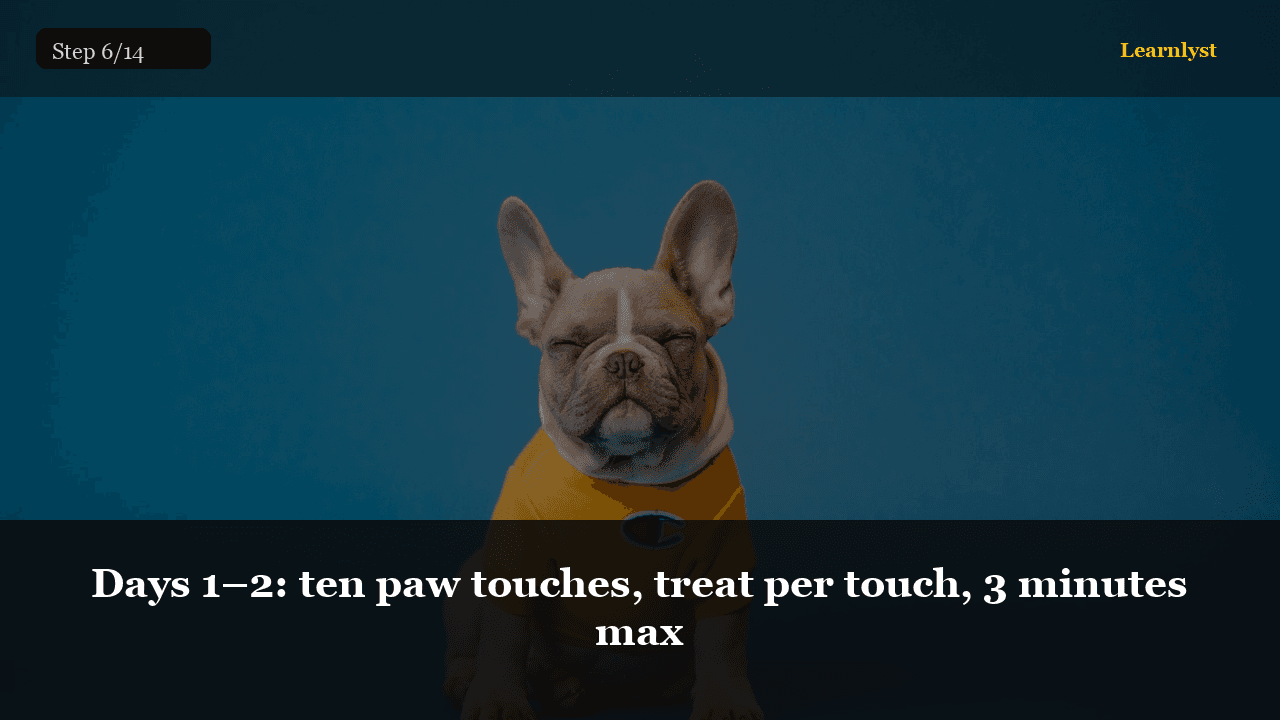 Days 1–2: ten paw touches, treat per touch, 3 minutes max — Pets tip photo