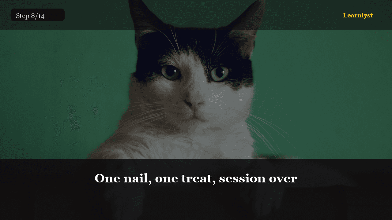 One nail, one treat, session over — Pets tip photo