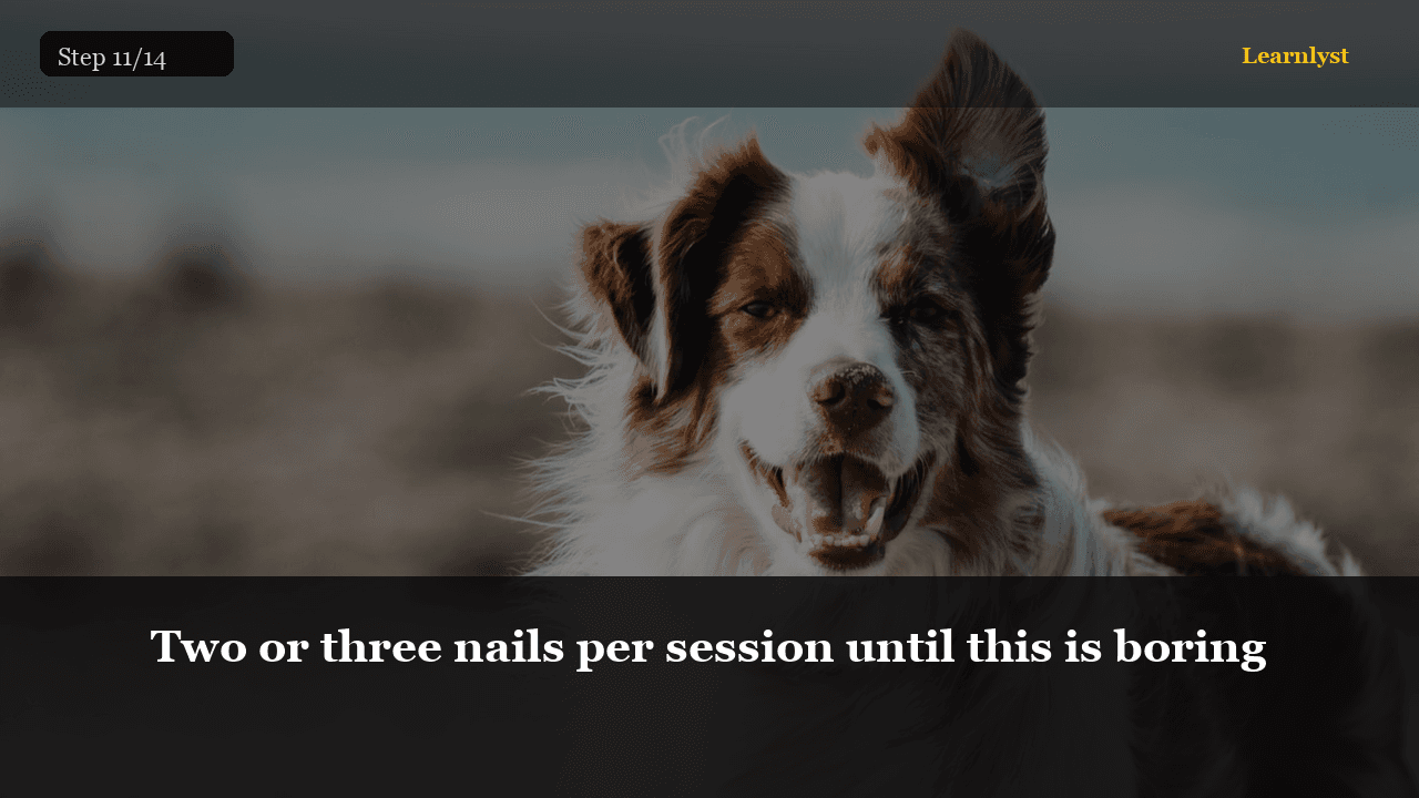 Quota is 2–3 until boredom. Even is a later problem.