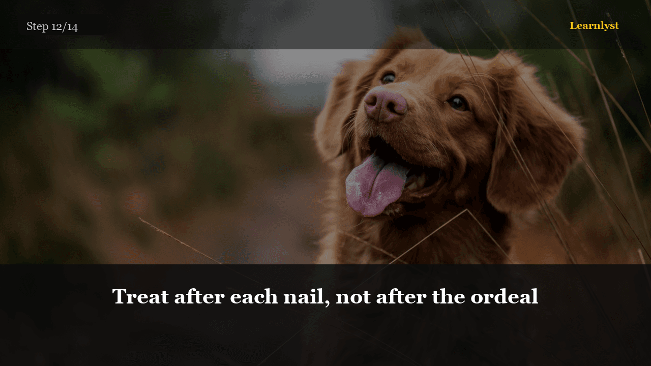 Treat after each nail, not after the ordeal — Pets tip photo