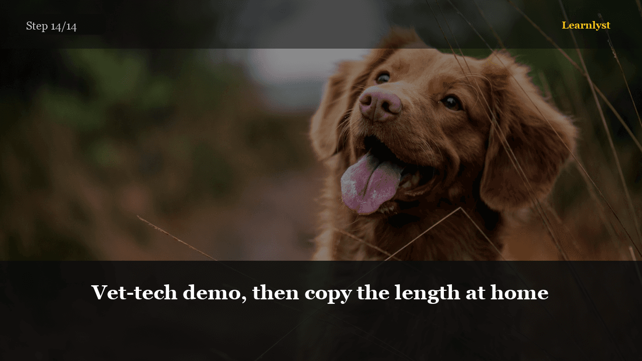 Vet-tech demo, then copy the length at home — Pets tip photo