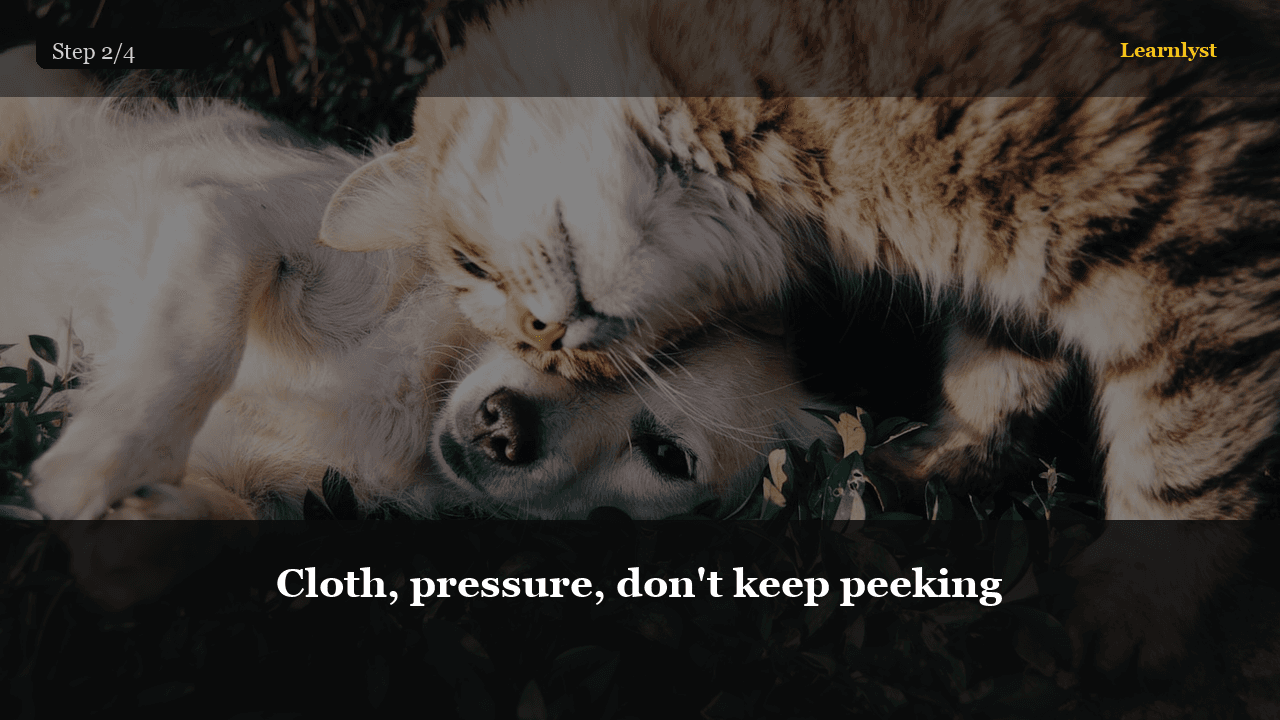 Cloth, pressure, don't keep peeking — Pets tip photo