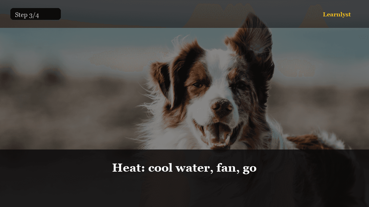 Heat: cool water, fan, go — Pets tip photo