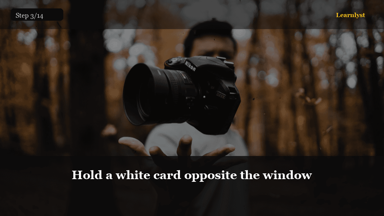 Hold a white card opposite the window — Photography tip photo