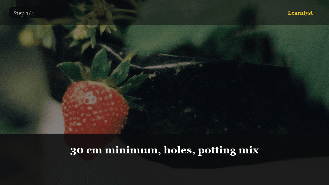 Strawberries in a Pot