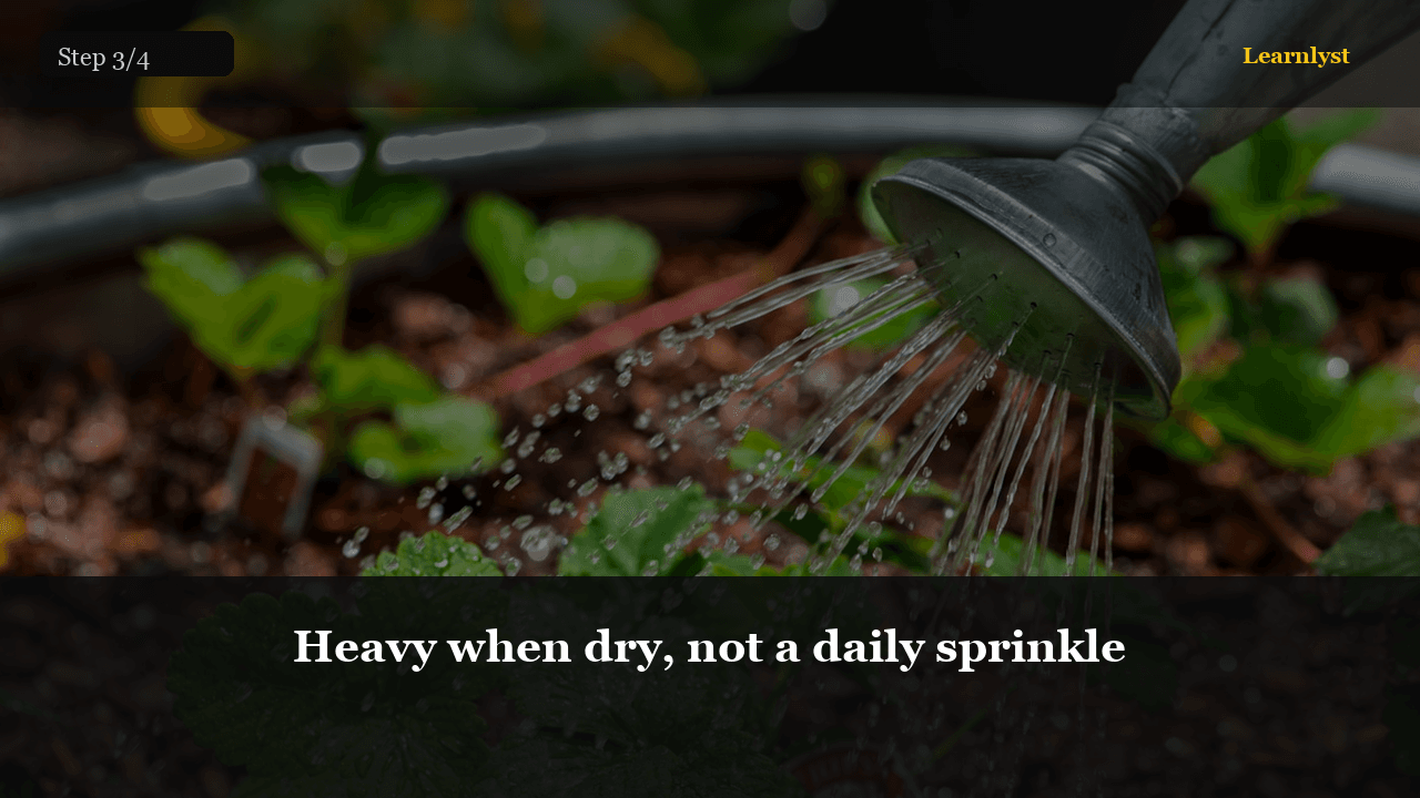 Heavy when dry, not a daily sprinkle โ Gardening tip photo