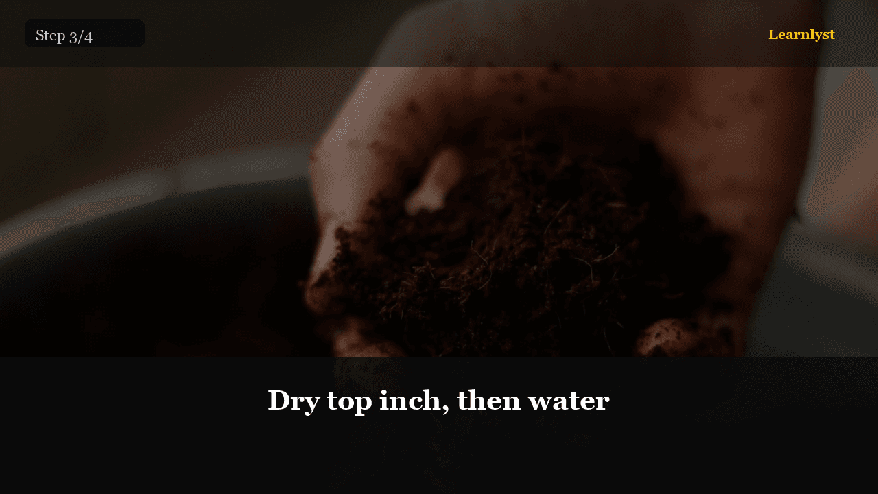 Dry top inch, then water โ Gardening tip photo